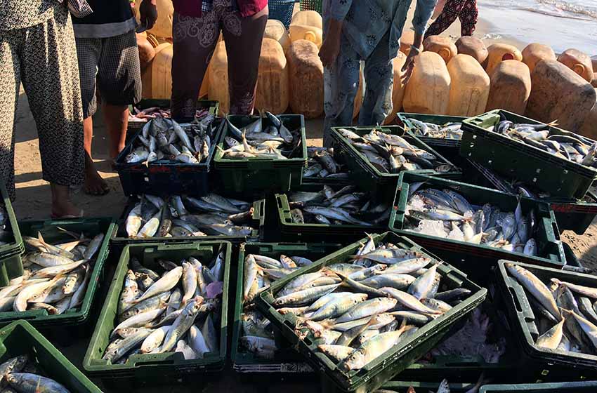 沖縄の水産業の特徴と重要性