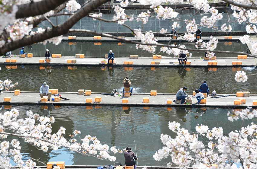 沖縄の釣り堀：自然環境と楽しい時間