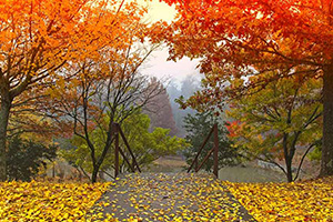 時候の挨拶≪10月編≫