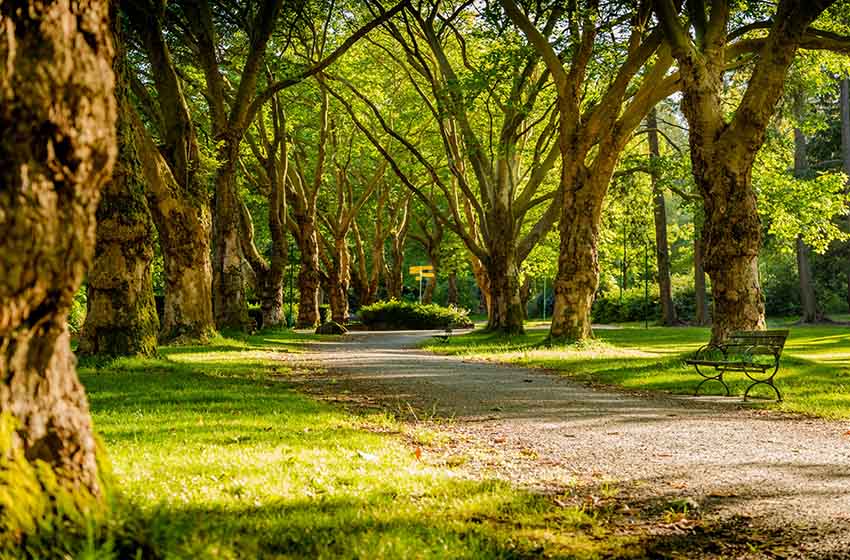 沖縄の自然公園の魅力と代表的なスポット