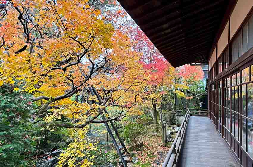 沖縄の寺院―歴史と文化を体現する魅力的な観光スポット