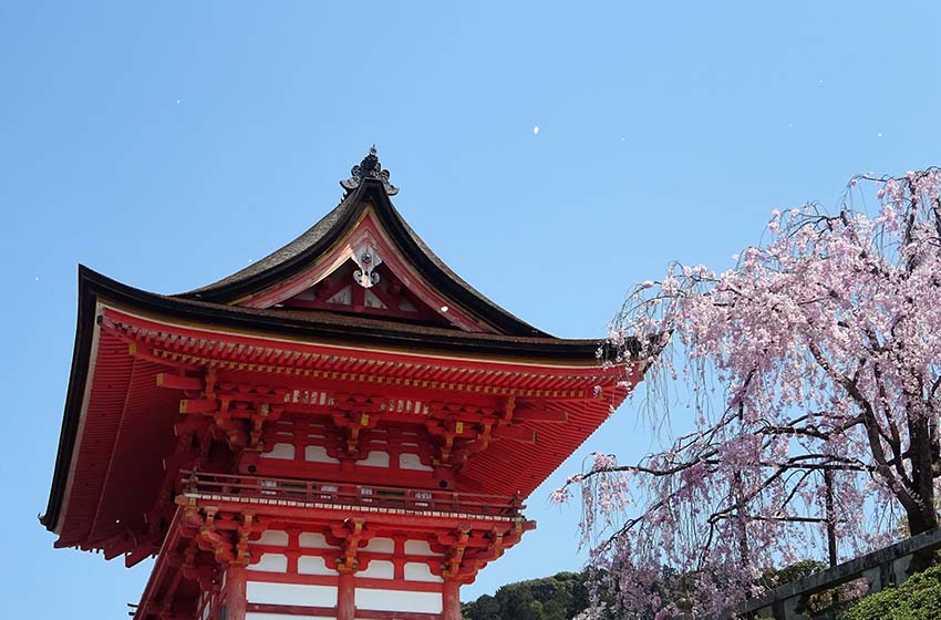 心の平穏と癒しを求める―沖縄の寺院で体感する魅力